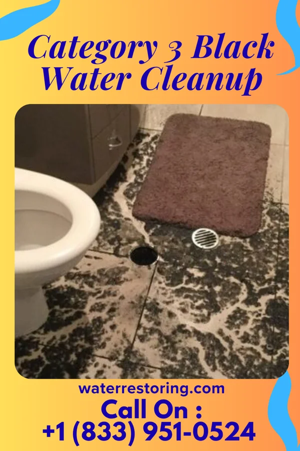 Category 3 Black Water Cleanup in Tupelo, MS
